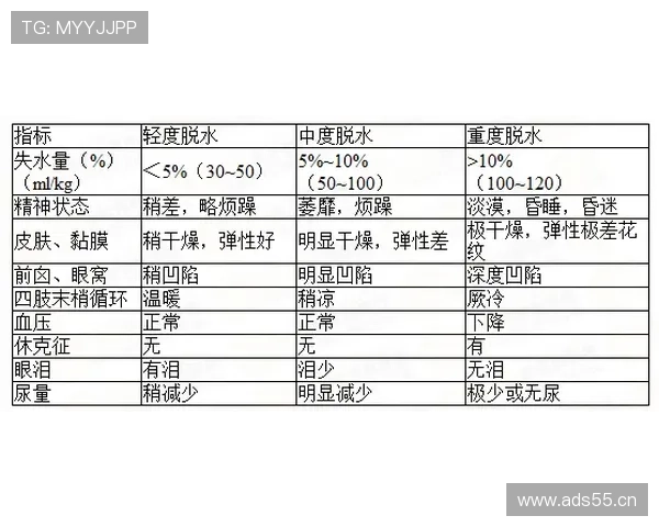 判罚优先级规则的具体判定标准与适用场景详解